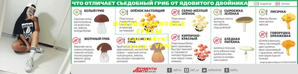 сатива Абинск