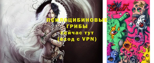 трава Лабытнанги