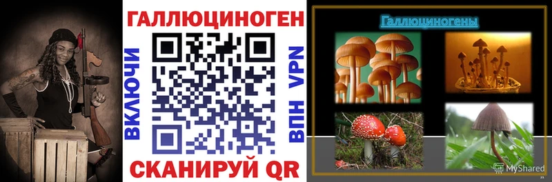 Галлюциногенные грибы Psilocybine cubensis  продажа наркотиков  дарк нет официальный сайт  Симферополь 